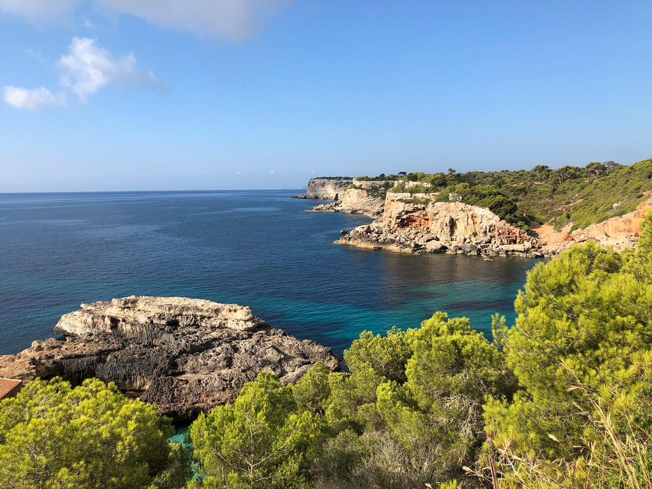 whatsapp image 2026 01 13 at 2.26.55 pm (1)