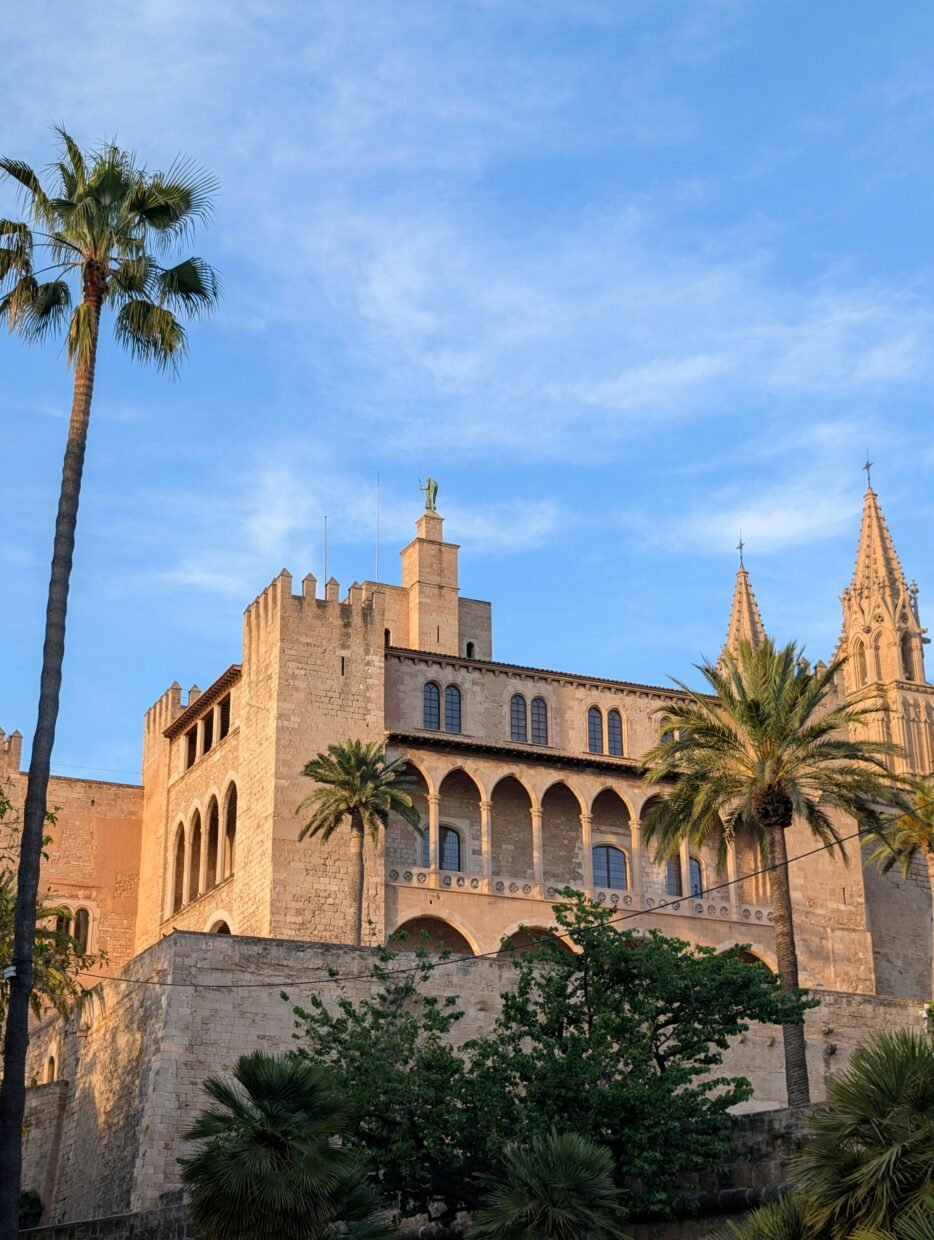 pexels david vives 1474251 32348328