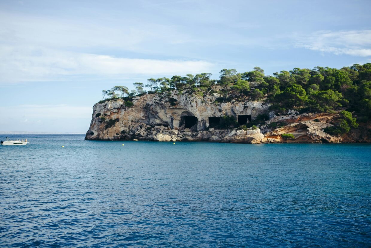 pexels raymond petrik 1448389535 27500279